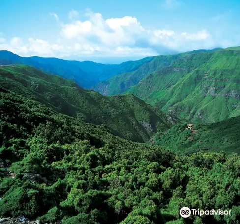 Madeira Explorers