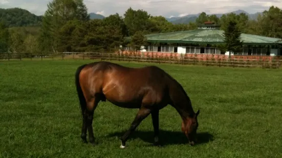 Nishikioka Horse Farm