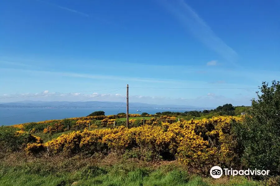 Howth Summit