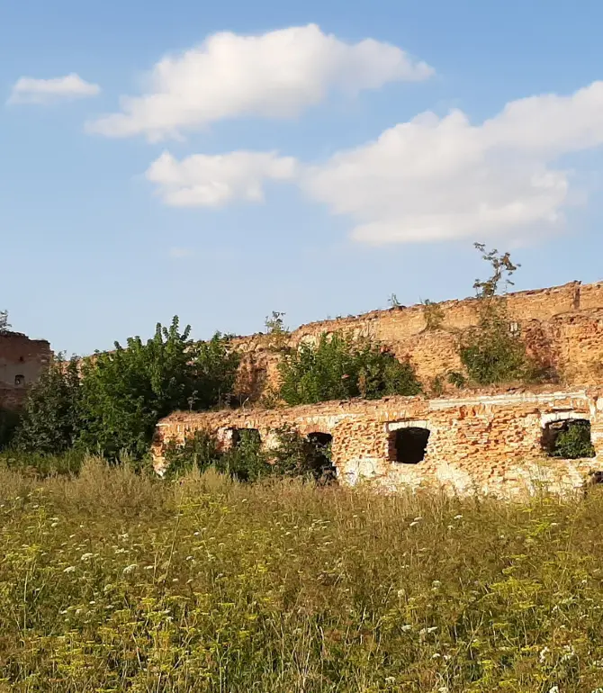Pustomytivs'kyi district