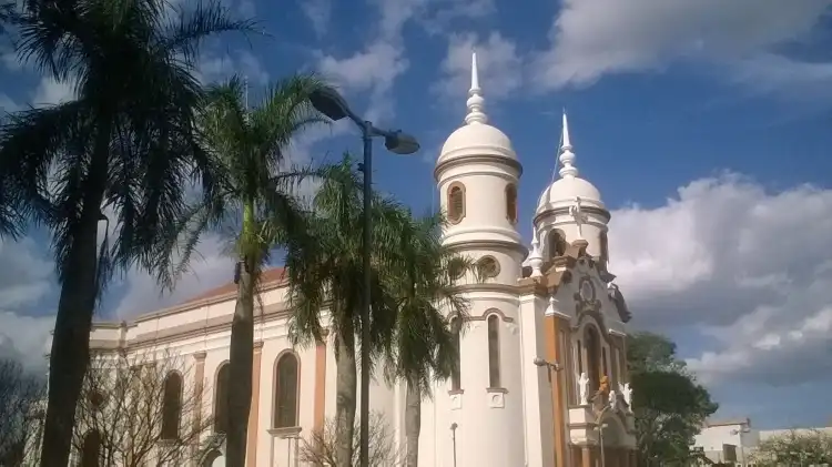 Arapongas