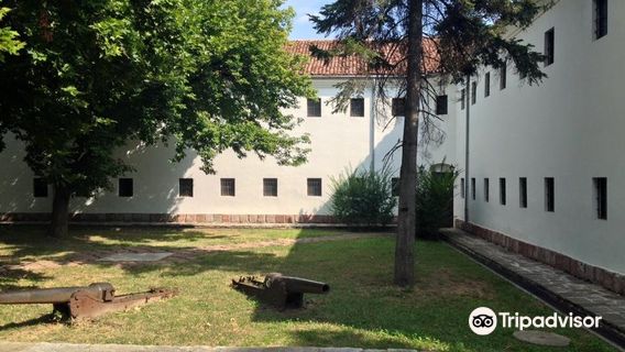 Vidin
