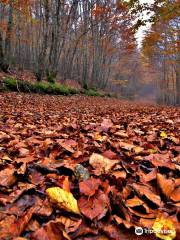 Parco Nazionale dell'Aspromonte