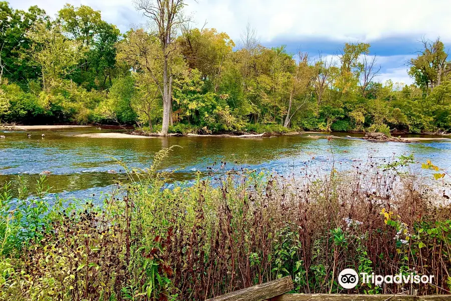 Nichols Arboretum