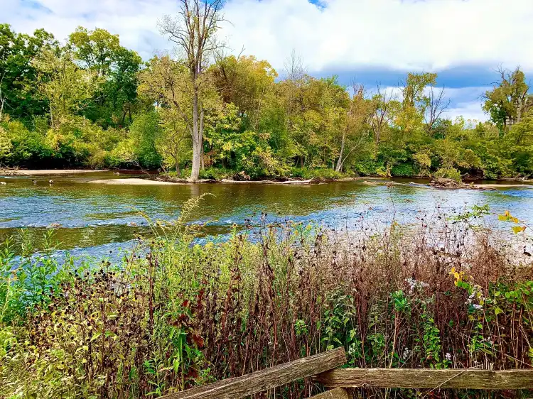 Washtenaw County
