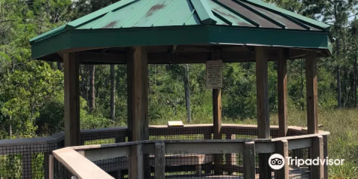 Hillsboro Pineland Natural Area