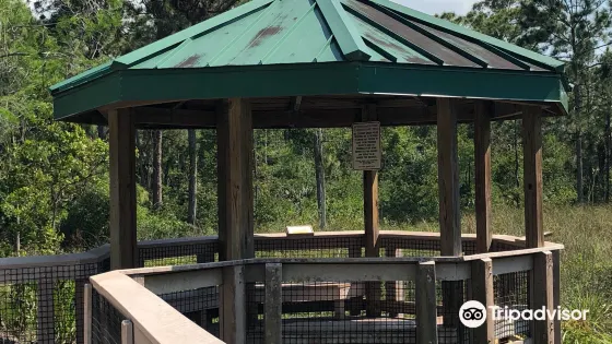 Hillsboro Pineland Natural Area