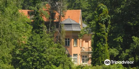 Zwiling Castle （Ribograd）