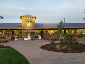 Thunder Junction All Abilities Park