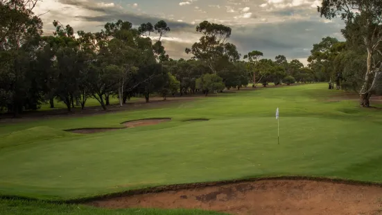 Murray Bridge Golf Club