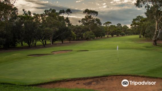 Murray Bridge Golf Club