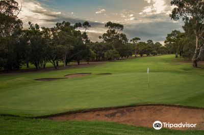 Murray Bridge Golf Club
