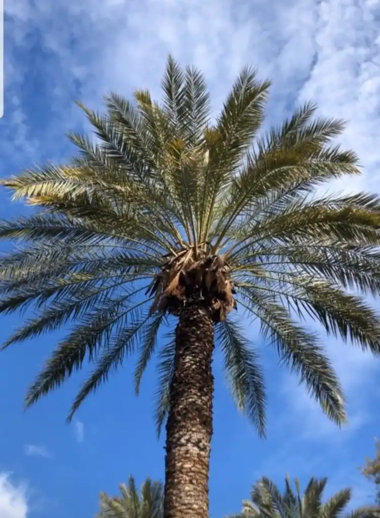 فنادق في Karatas