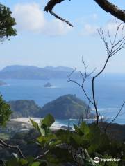 Station Rock Road Lookout