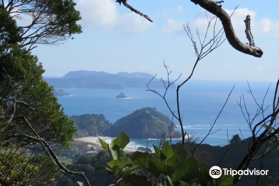 Station Rock Road Lookout