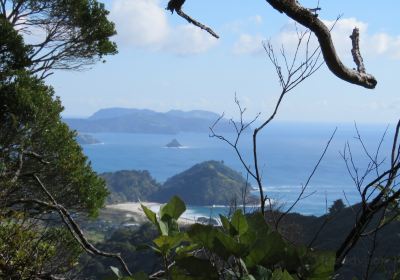 Station Rock Road Lookout