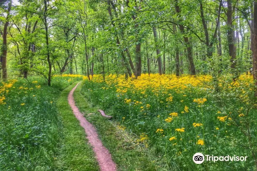 Chickasaw Trace County Park