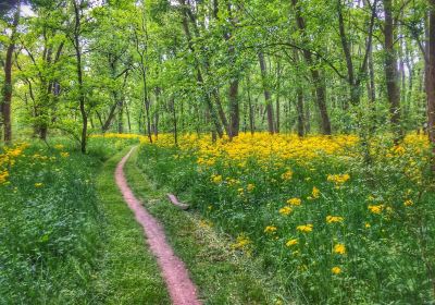 Chickasaw Trace County Park