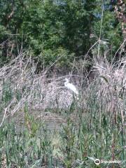 Smith and Bybee Lakes Wildlife Area