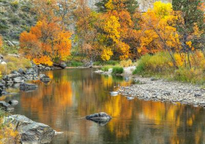 Fort Collins