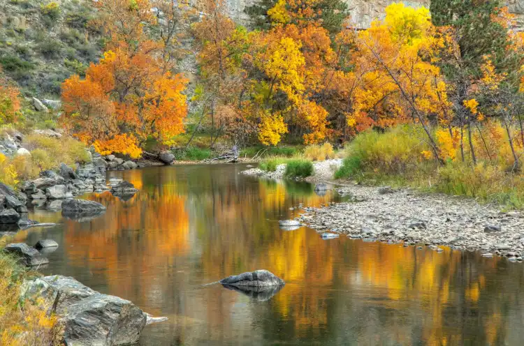 Fort Collins