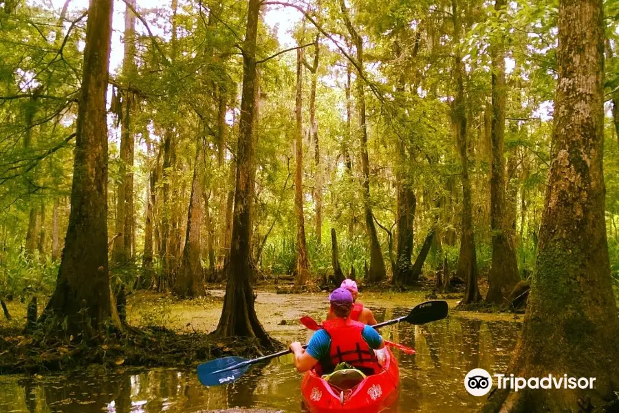 Canoe & Trail Adventures