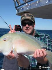 Noosa Bluewater Charters