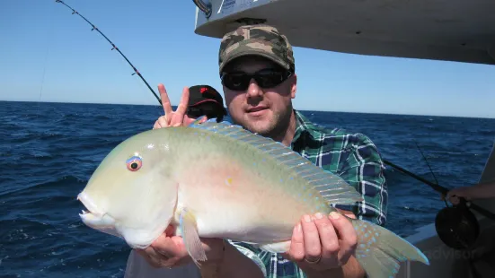 Noosa Bluewater Charters