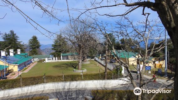 Chail Cricket Ground