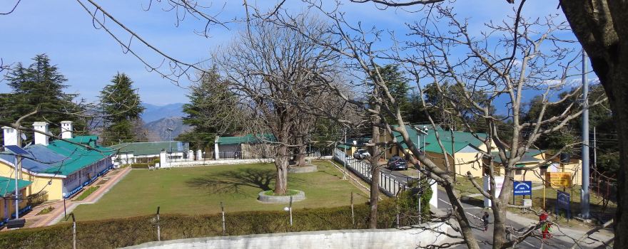 Chail Cricket Ground