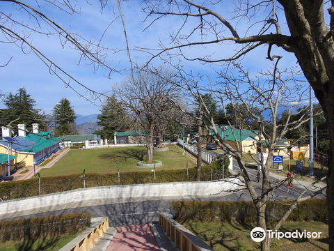 Chail Cricket Ground