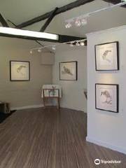 Jon Tremaine - Wildlife Studio & Gallery