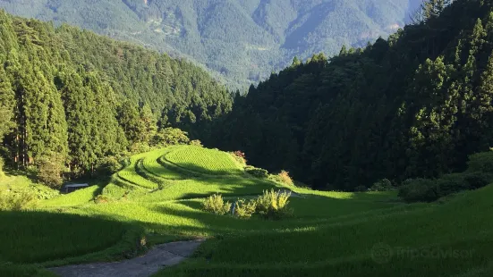 Kashihara Rice Terraces