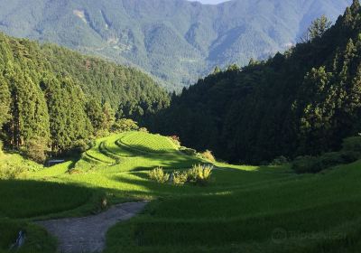 樫原の棚田