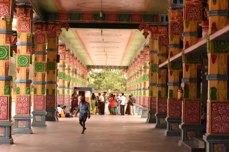 Hotels in Talamalai R.F.