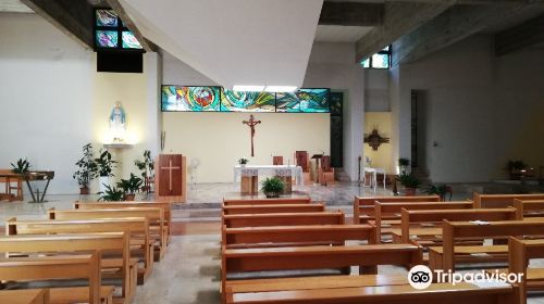 Chiesa di San Antonio di Padova, Sacerdote e Dottore della Chiesa