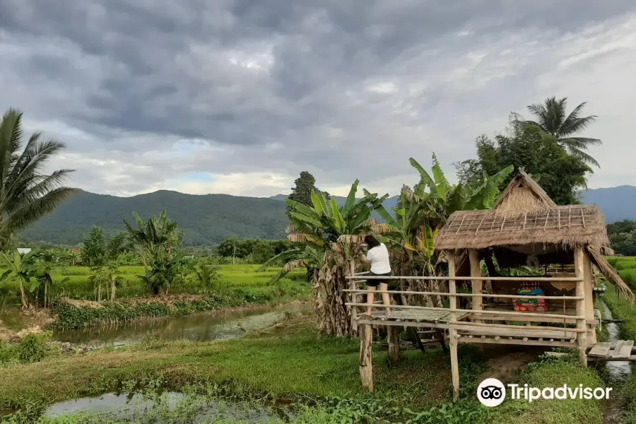 Daidib Daidee Pua Nan Thailand