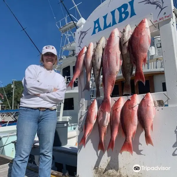Saltwater Charters