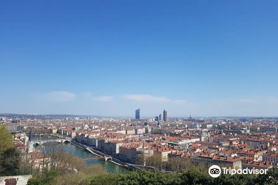 Giardino delle Curiosità