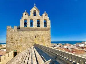 Sanctuaire des Saintes-Maries-de-la-Mer - Notre-Dame-de-la-Mer