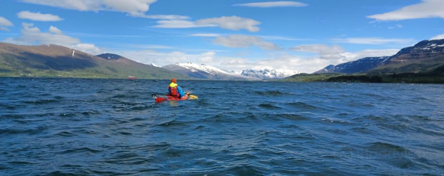 Nesna