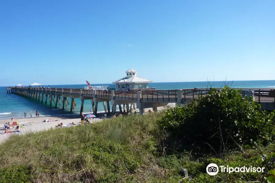 Juno Beach Park