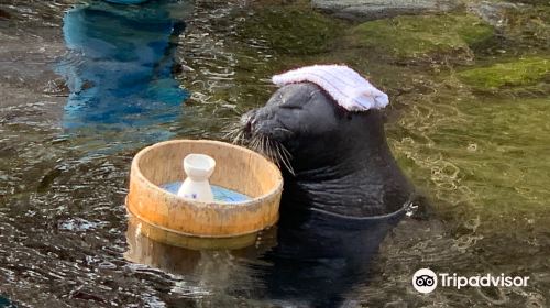 箱根園水族館