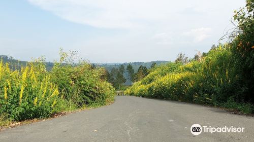 Bukit Gajah Bobok