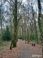 Brereton Heath Local Nature Reserve