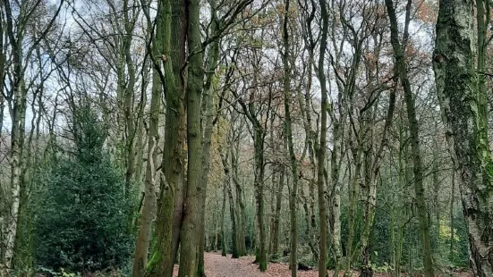 Brereton Heath Local Nature Reserve