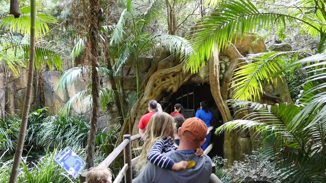 Hotels near Glow Worm Caves