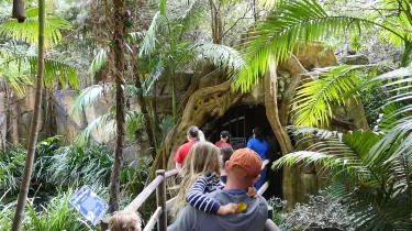 Glow Worm Caves Hotels in Mount Tamborine