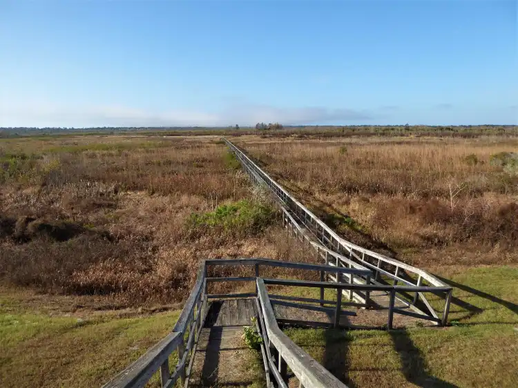 Hotels in Ocklawaha