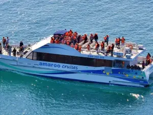 Amaroo Cruises
